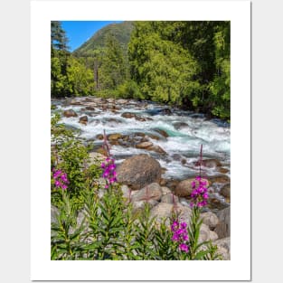 USA. Alaska. Wild River with Flowers in foreground. Posters and Art